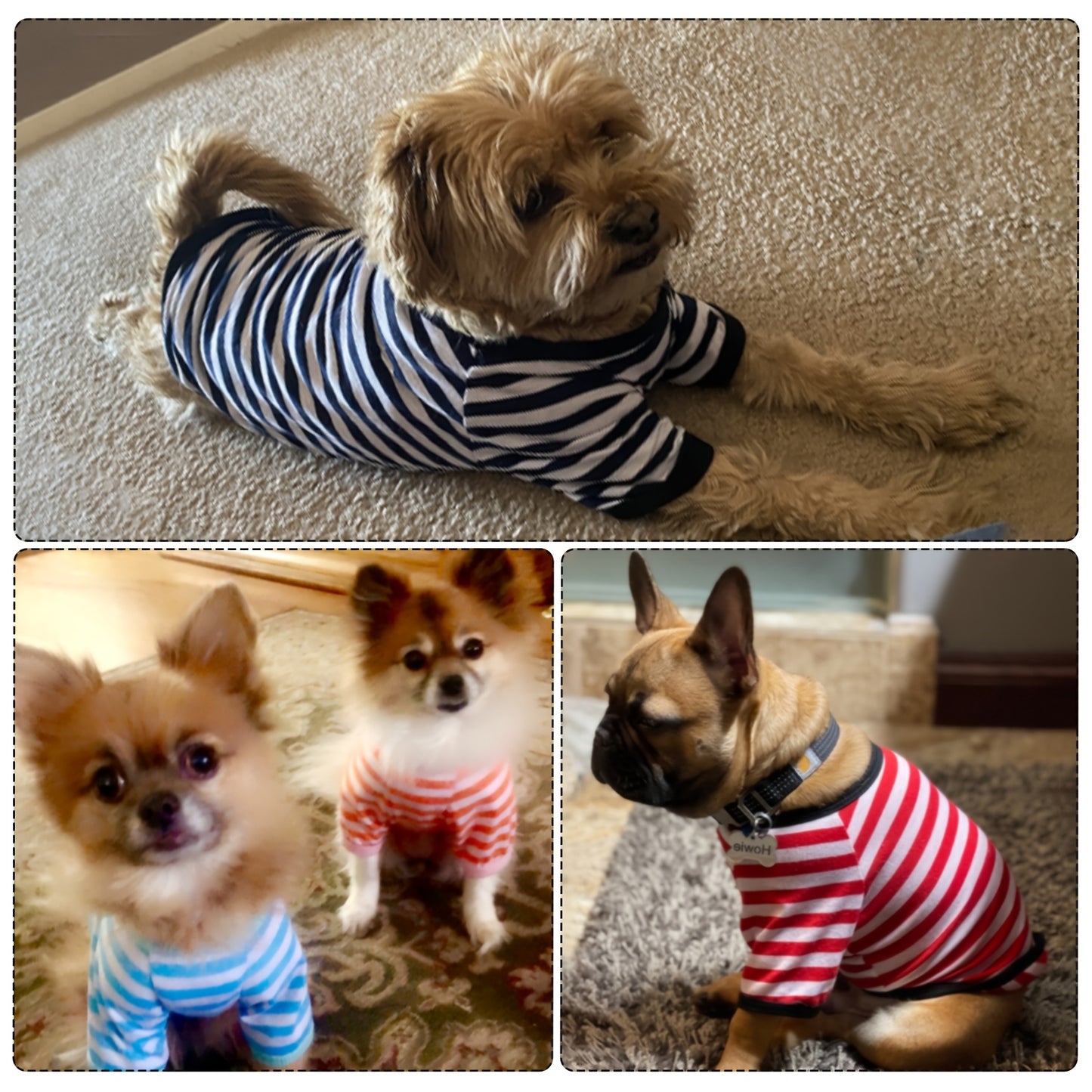 6pcs Dog Striped T-Shirt
