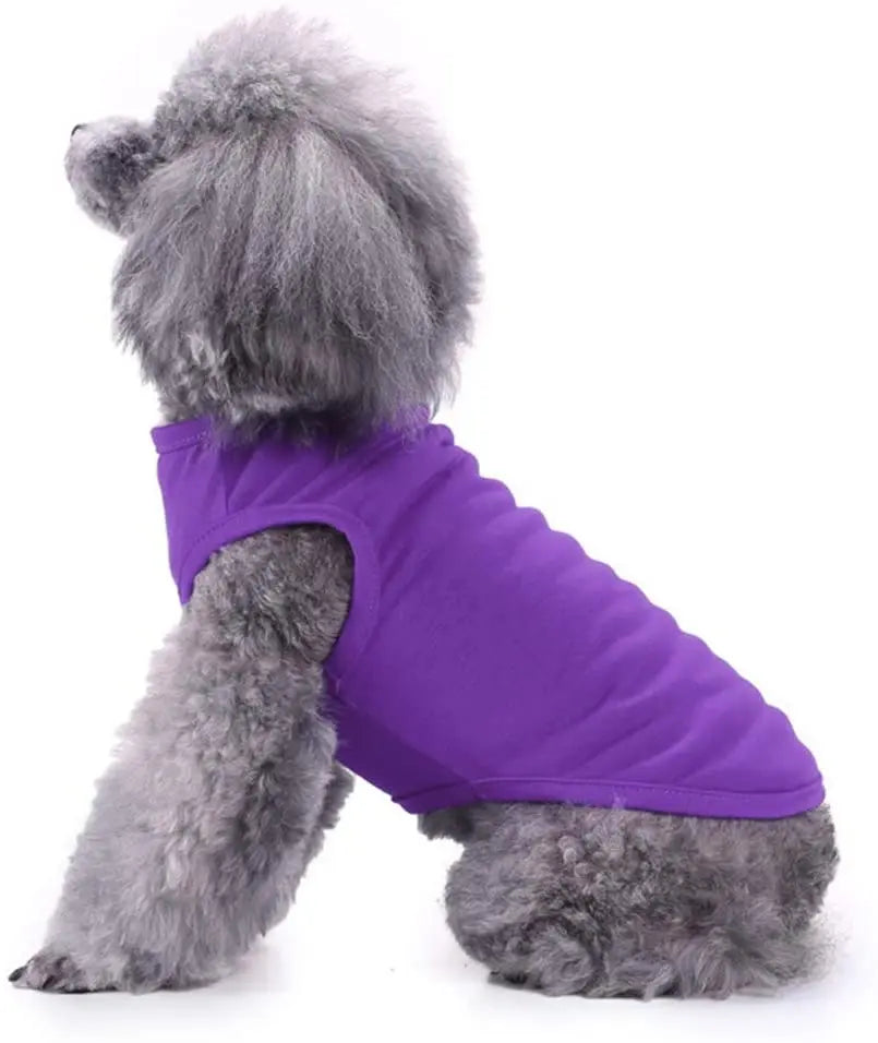 Dog Shirt Clothes, Soft Blank Shirts For All Size Dogs