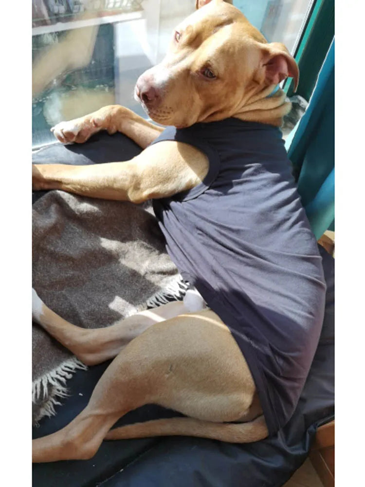 Dog Shirt Clothes, Soft Blank Shirts For All Size Dogs