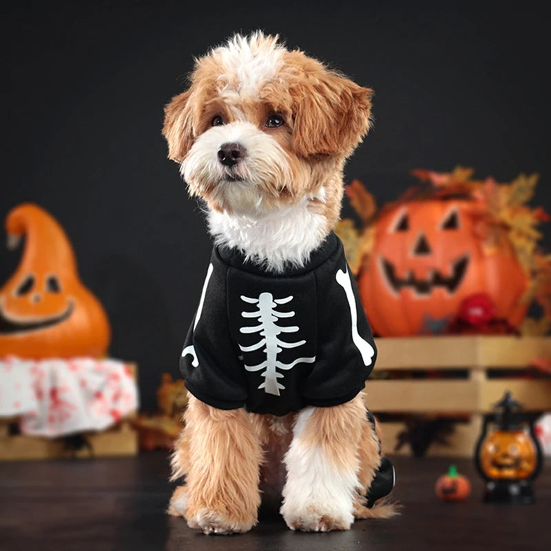 Halloween Dog Costume Night Light Bust Adjusted Soft Fun