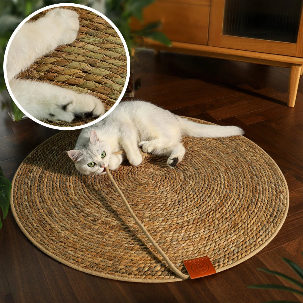 Couch Cat Scratcher Sofa Protection Artifact Cat Supplies