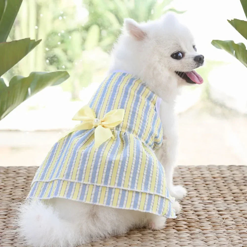Dog Dresses for Small Dogs Cats Summer Princess Tutu Skirt