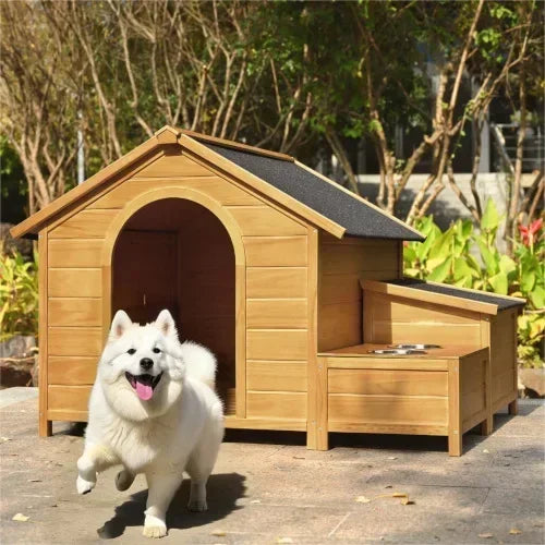 Dog House Outdoor
