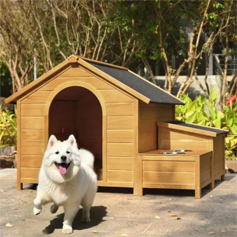 Dog House Outdoor
