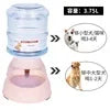 Automatic Dog Feeder,  Gravity Water Dispenser Pet Bow