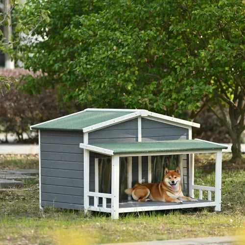Dog House Outdoor