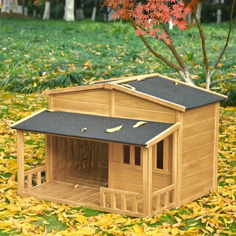 Dog House Outdoor