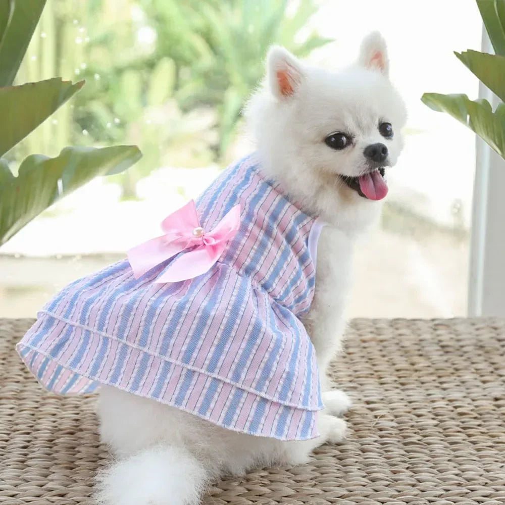 Dog Dresses for Small Dogs Cats Summer Princess Tutu Skirt