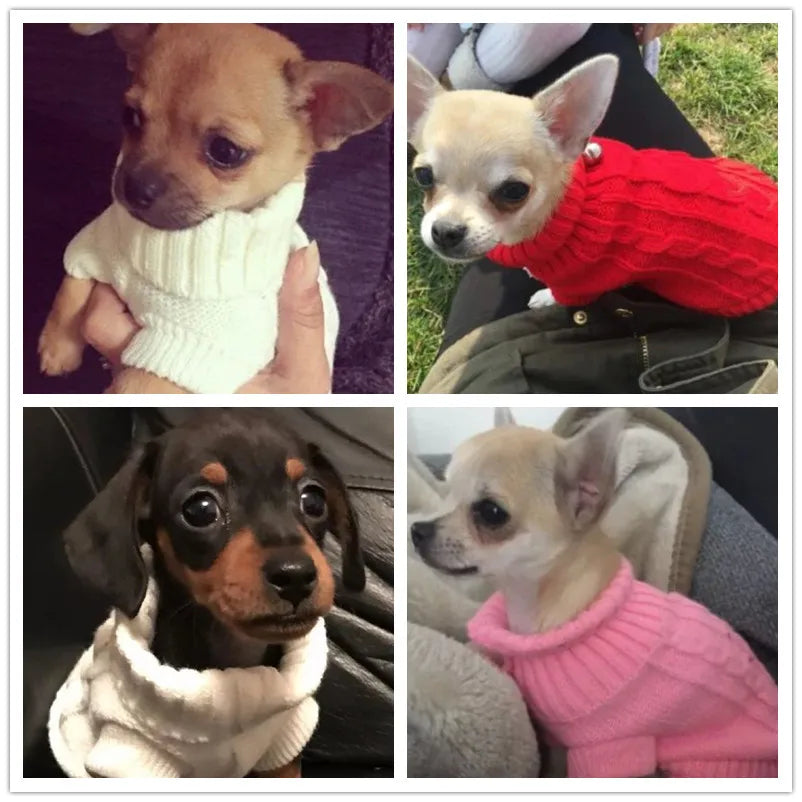XXXS XXS XS Teacup Chihuahua Dog Sweater Warm Knitted Coat
