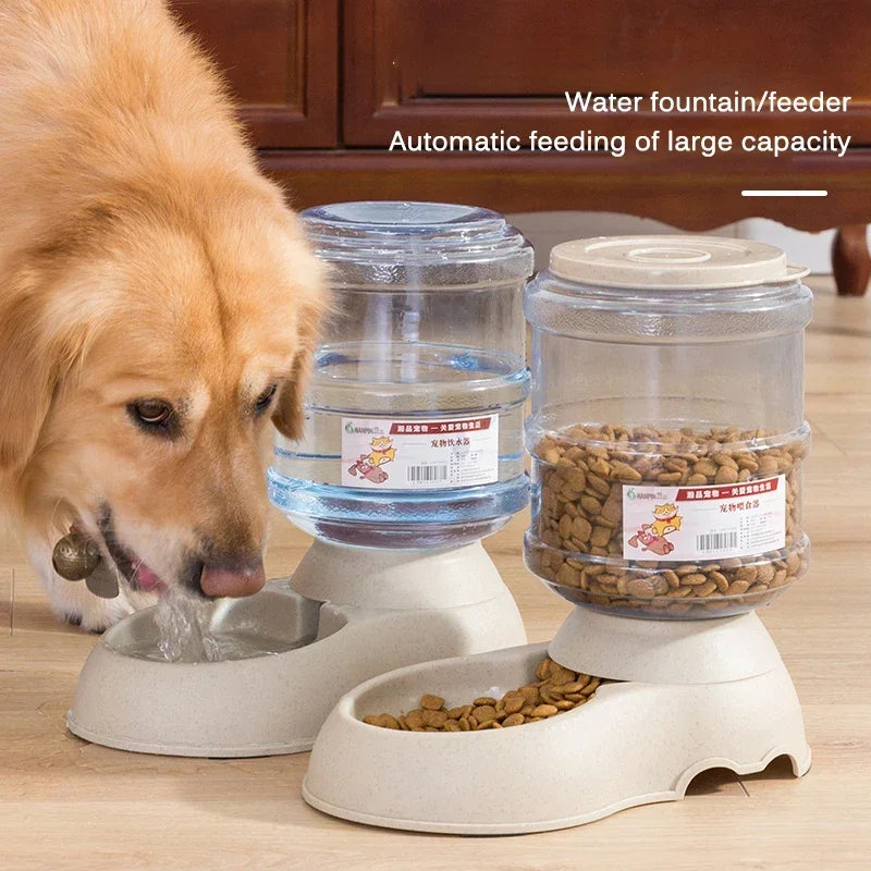 Automatic Dog Feeder,  Gravity Water Dispenser Pet Bow