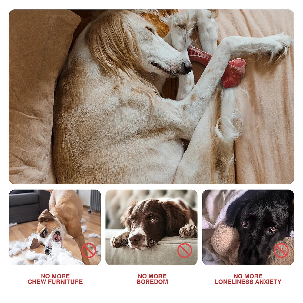 MASBRILL Dog Toys Indestructible Bone for Large Chewers