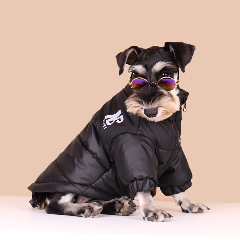 Warm Dog Clothes Winter Cold Resistant Dog Jacket for Small Medium Dogs Thickened Windproof