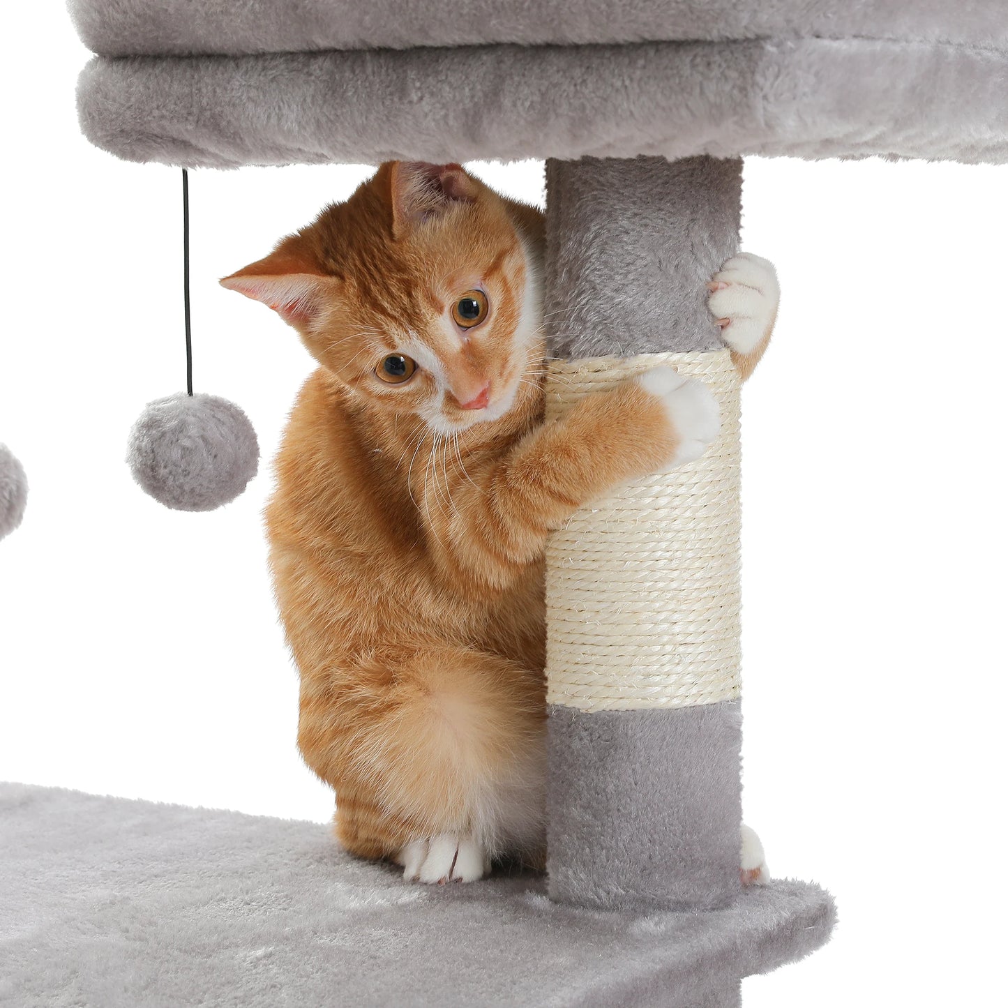 Cat Tree with Hammock Scratching Posts 2 Perches Large Condo