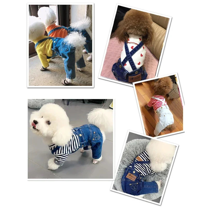 Denim Dog Jumpsuit