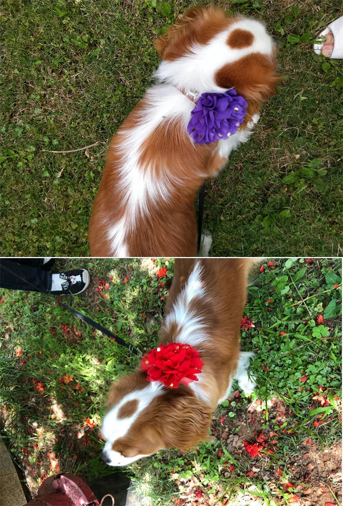 20/50PCS Big Flower Collar For Dogs Removable Bowties