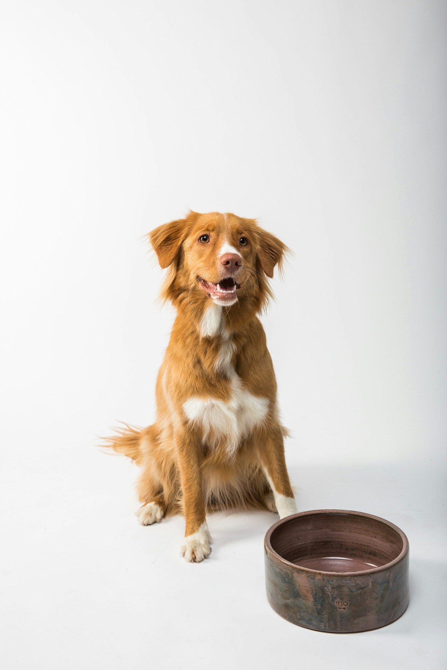 Pet Bowls