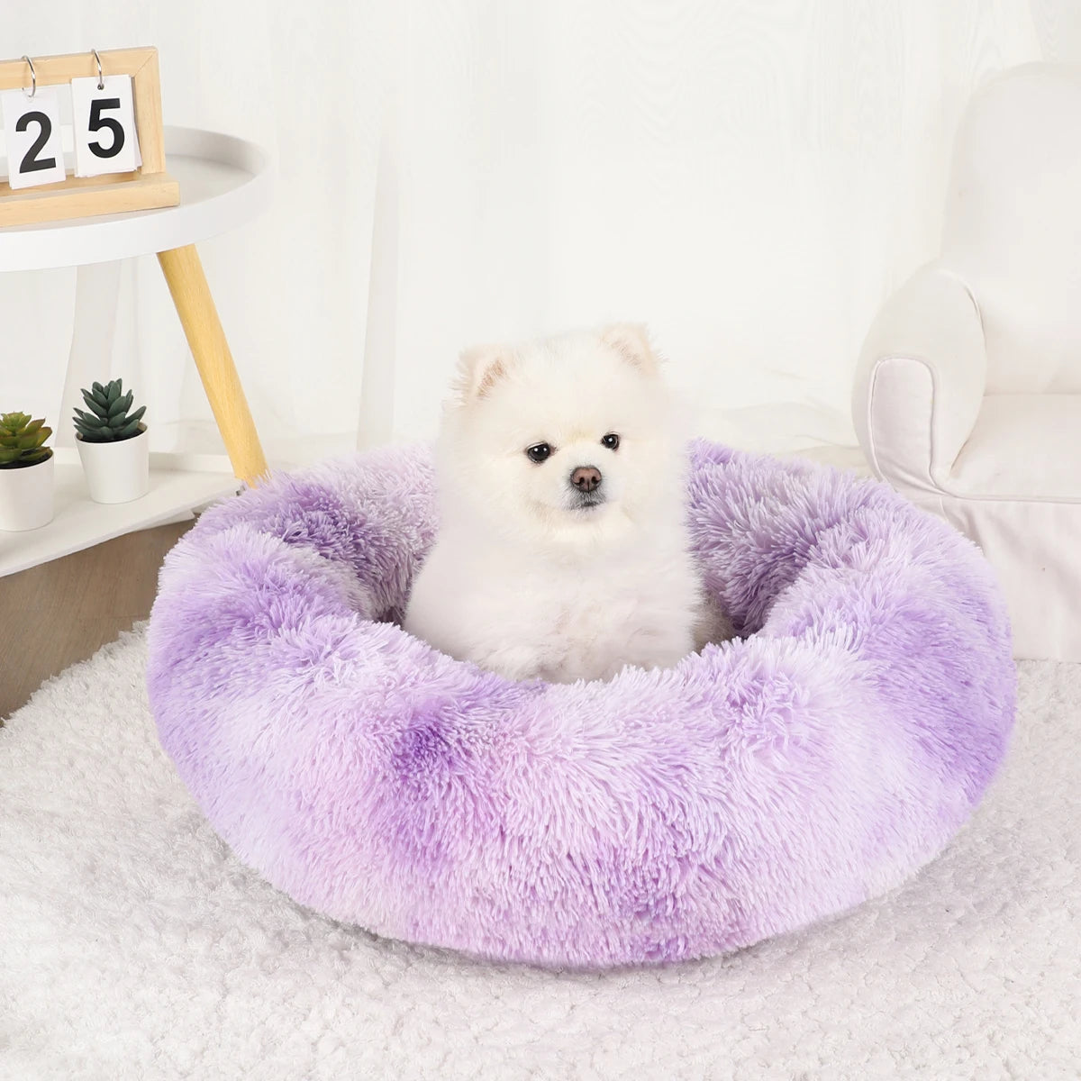 Plush Dog Bed