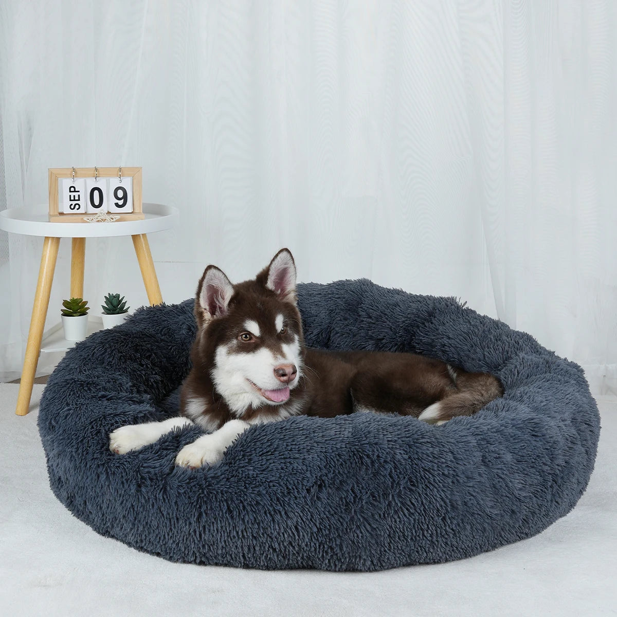 Plush Dog Bed