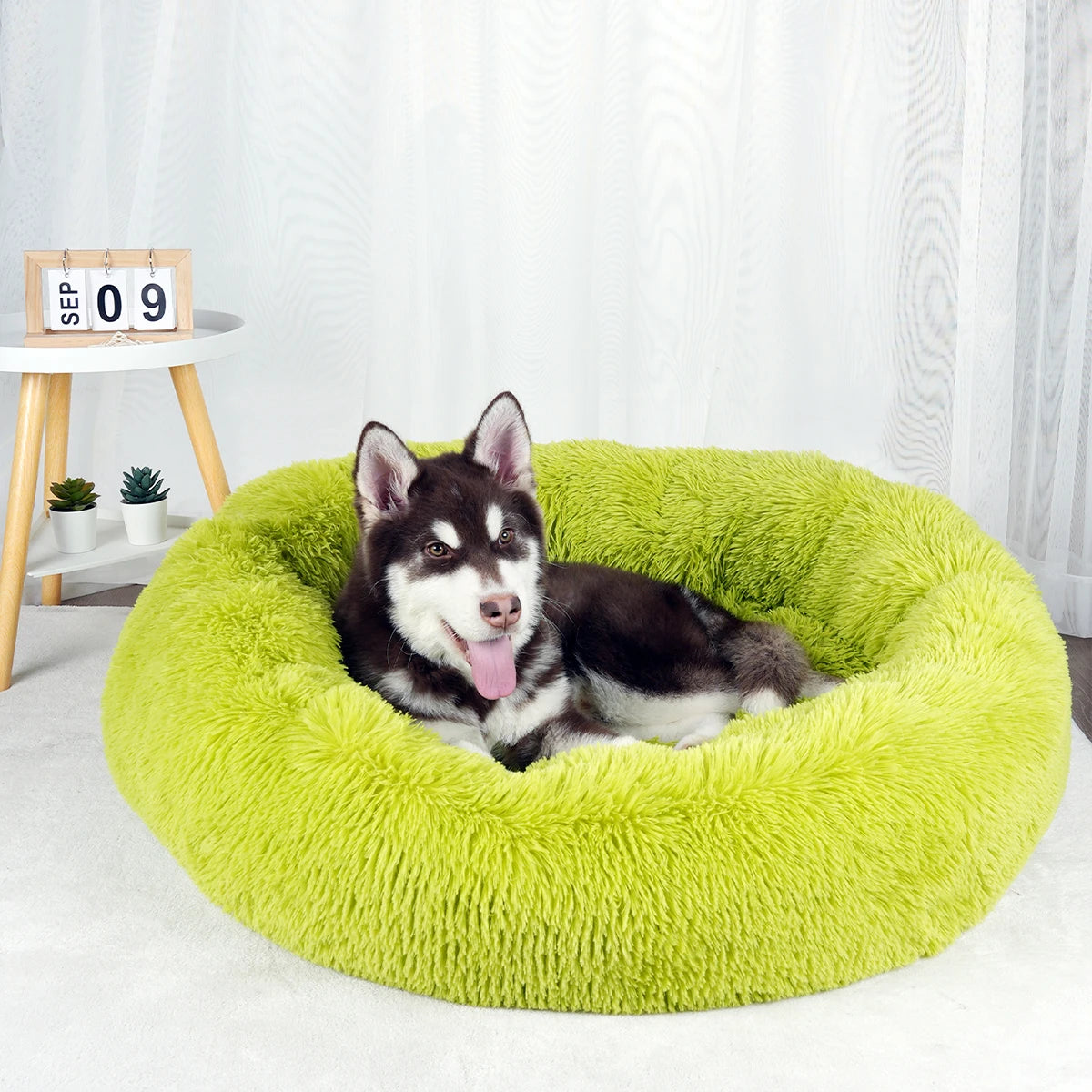 Plush Dog Bed