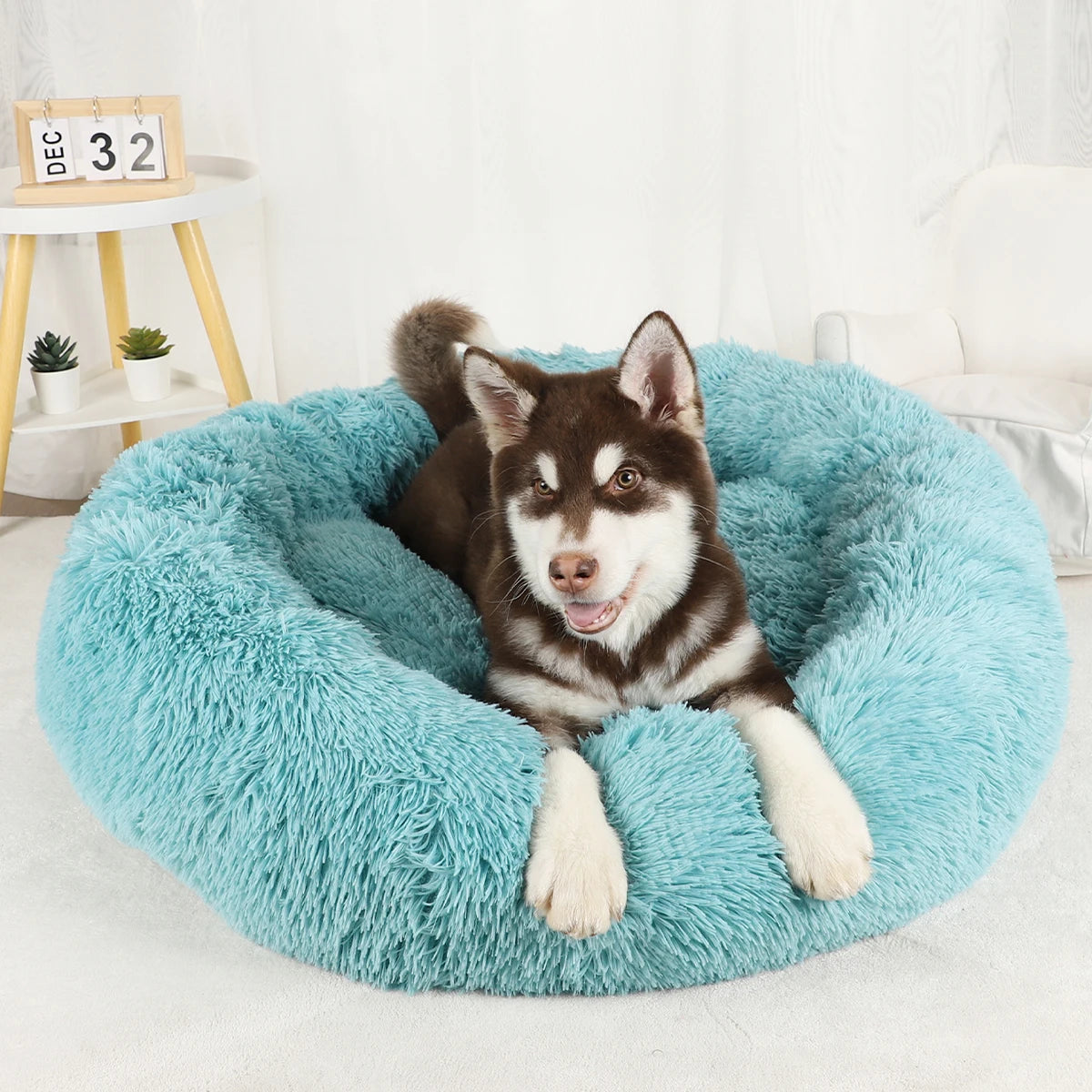 Plush Dog Bed