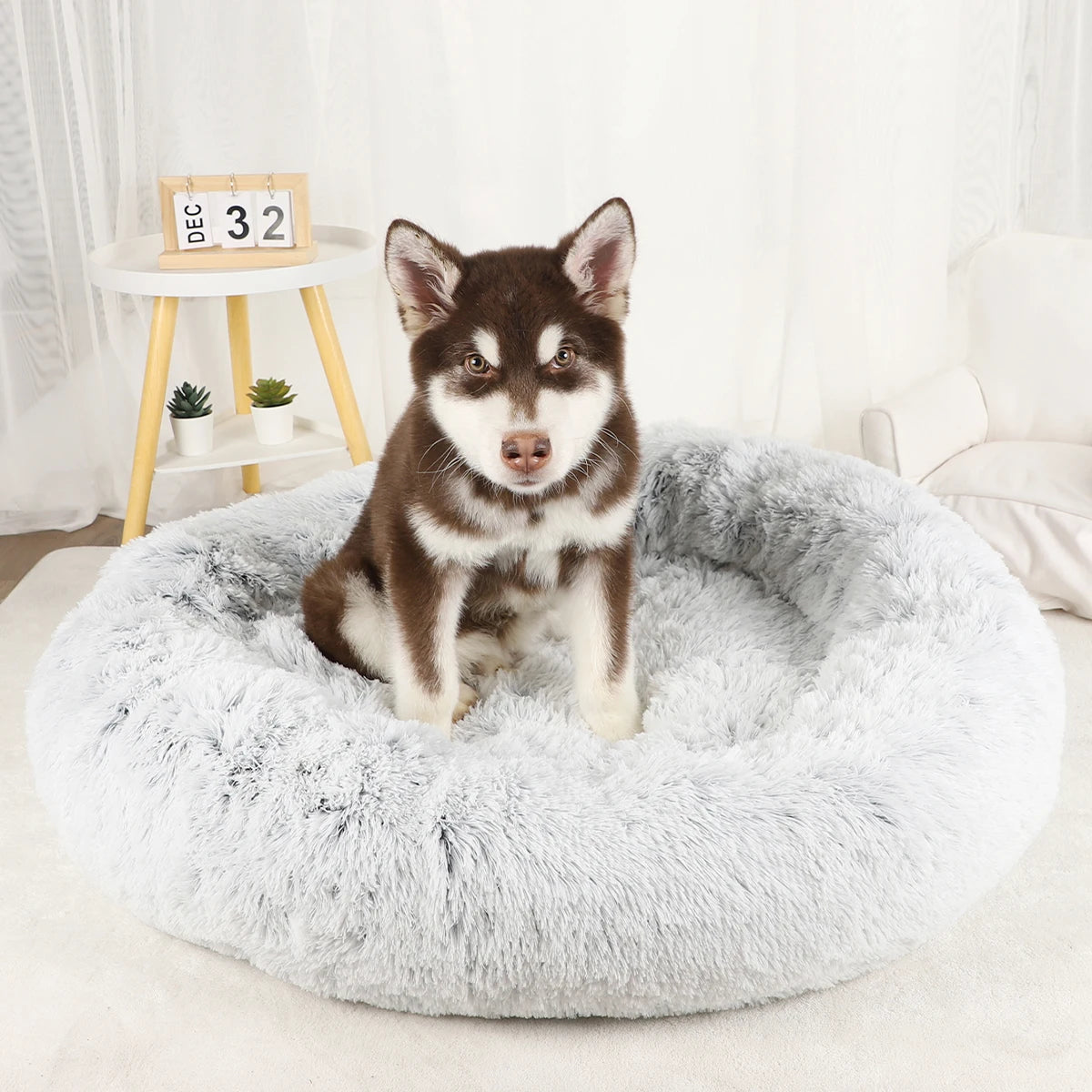 Plush Dog Bed