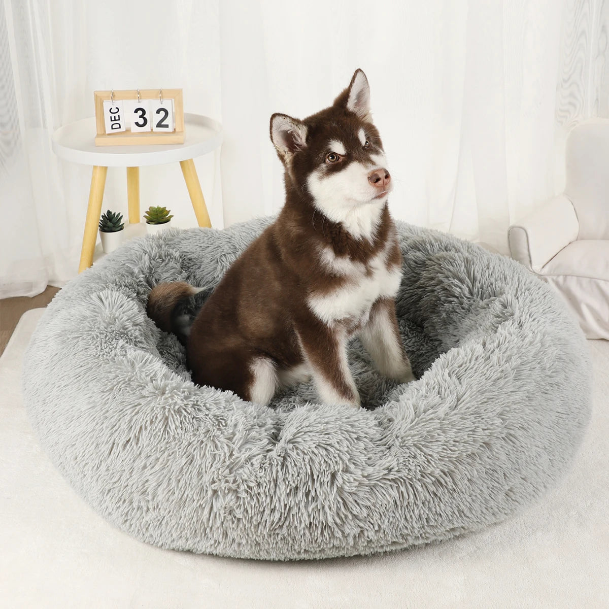 Plush Dog Bed