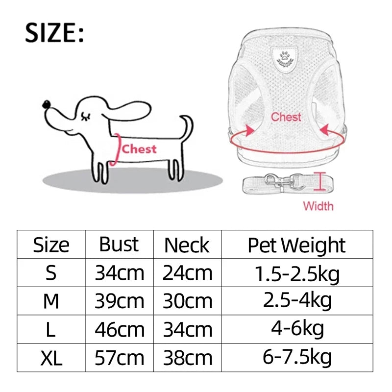 Dog Harness for Small Dogs and Cats