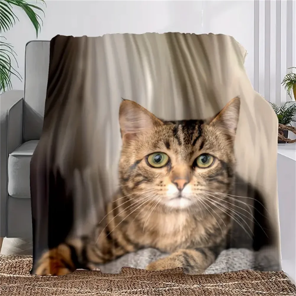 1pc Tabby Cat Print Flannel Blanket