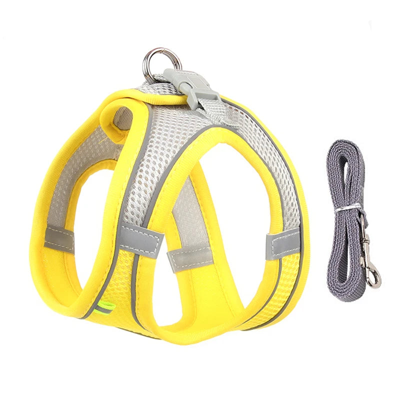 Dog Harness Leash Set for Small Dogs and Cats