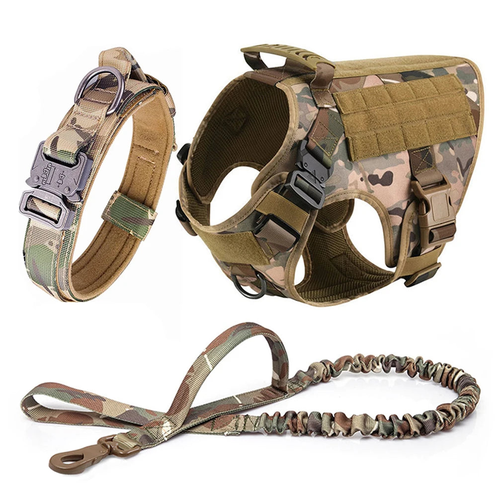 Large Dog Harness And Leash Set