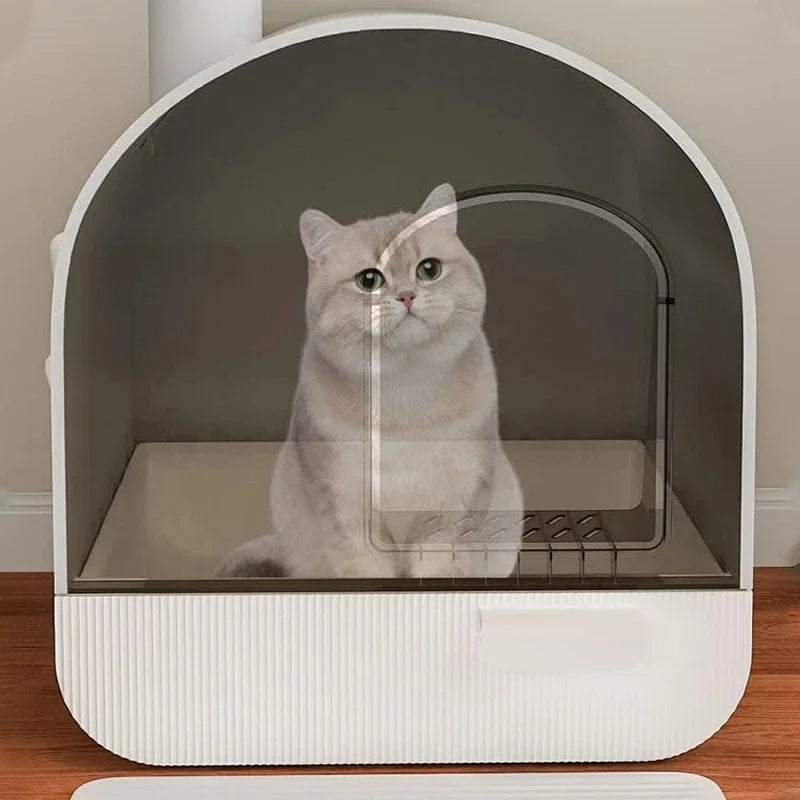 Cat Litter Boxes Totally Enclosed