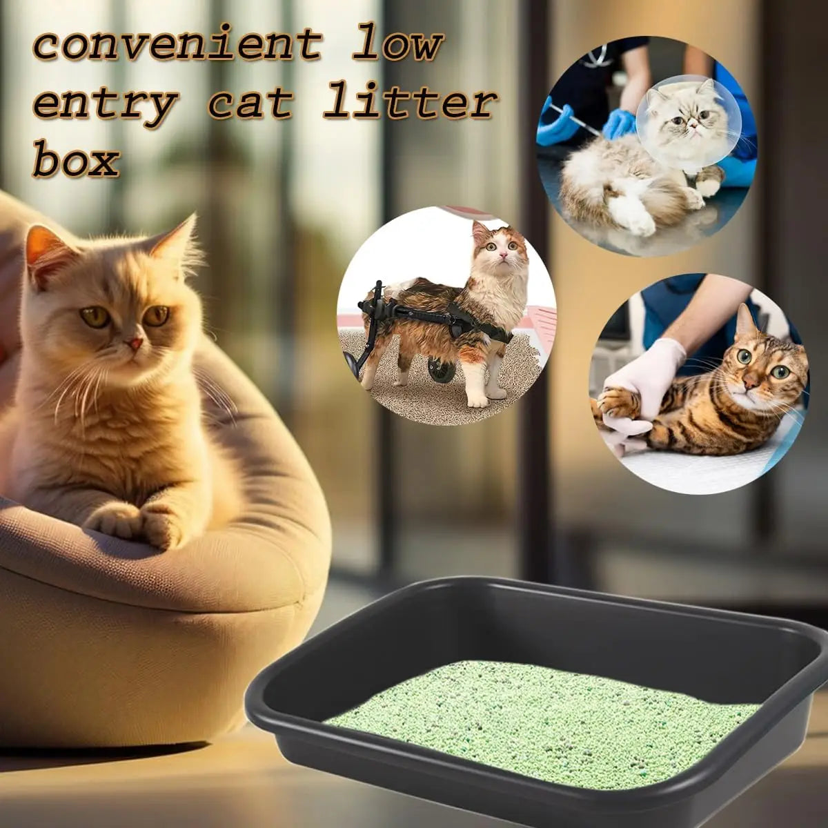 Premium litter box, oversized pet litter box