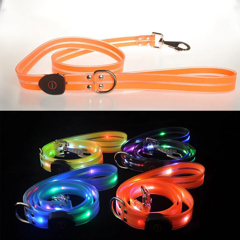 Pet Dog LED Light UP Leash USB Rechargeable