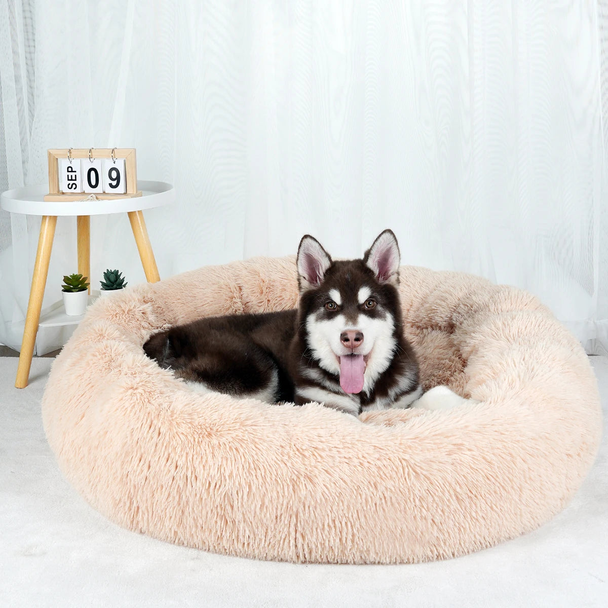 Plush Dog Bed