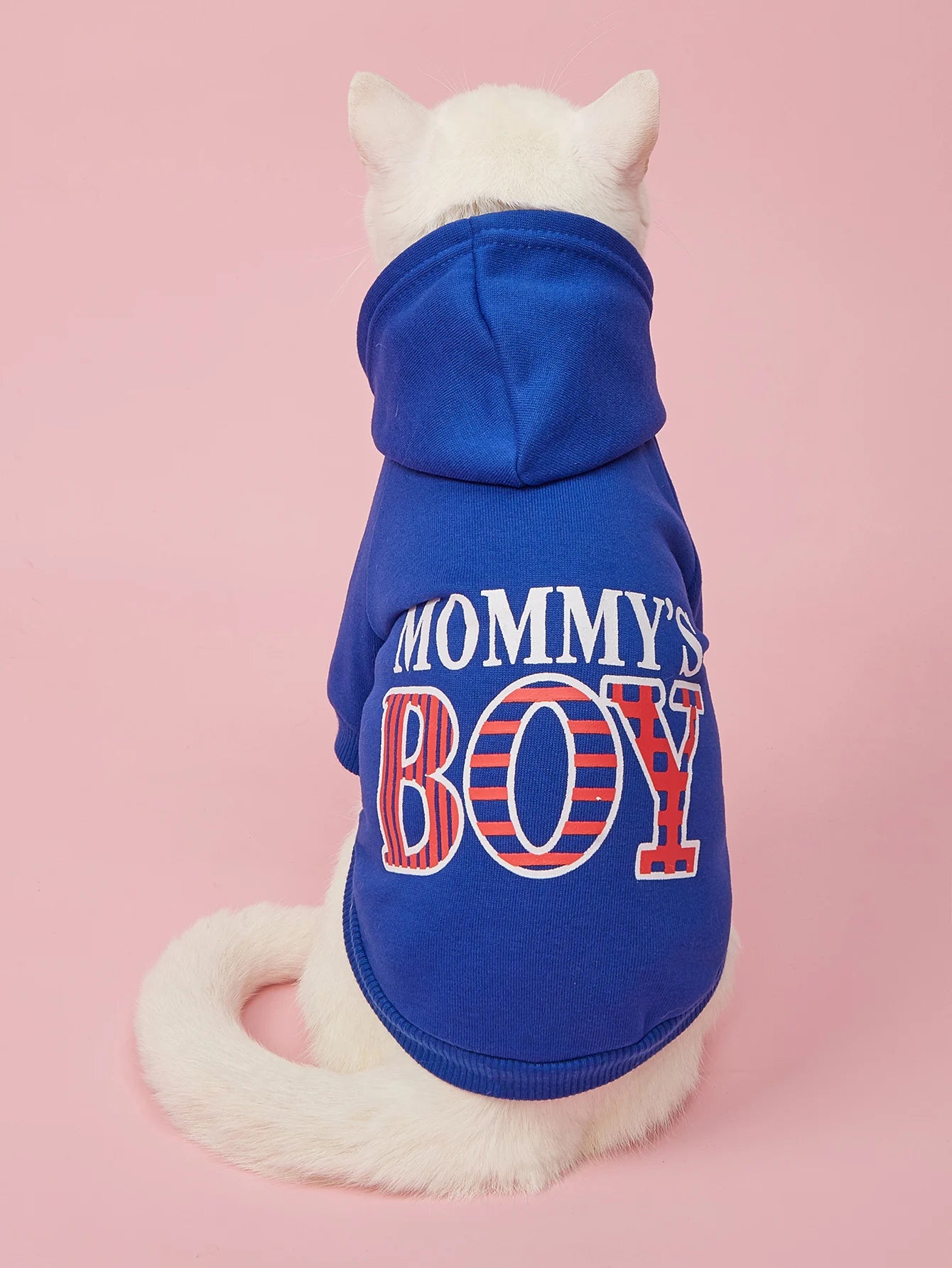 MOMMY'S BOY Pet Sweatshirt for Small - Medium Dogs and  Cats