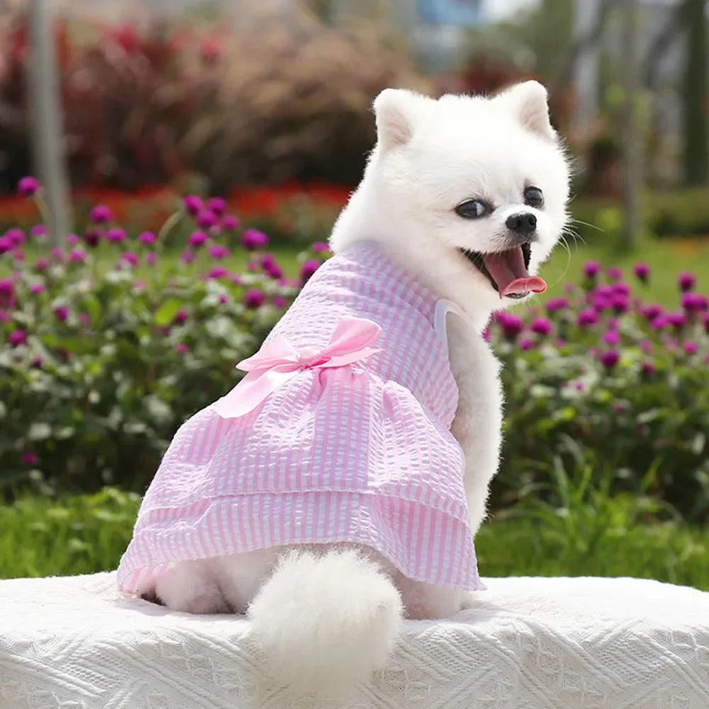 Dog Dresses for Small Dogs Cats Summer Princess Tutu Skirt