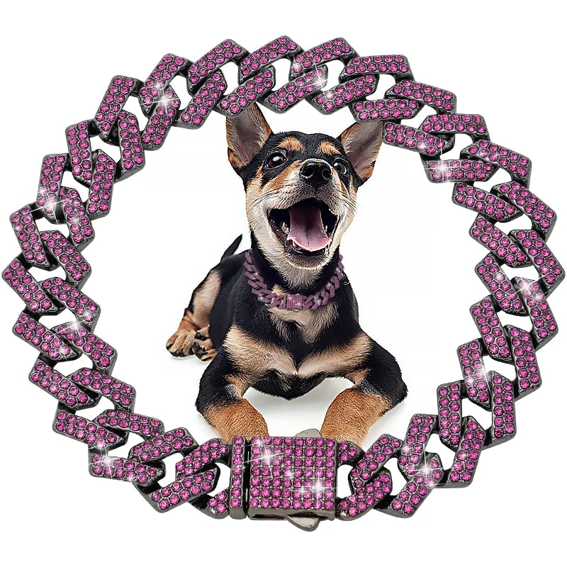 Diamond Dog Chain Collar