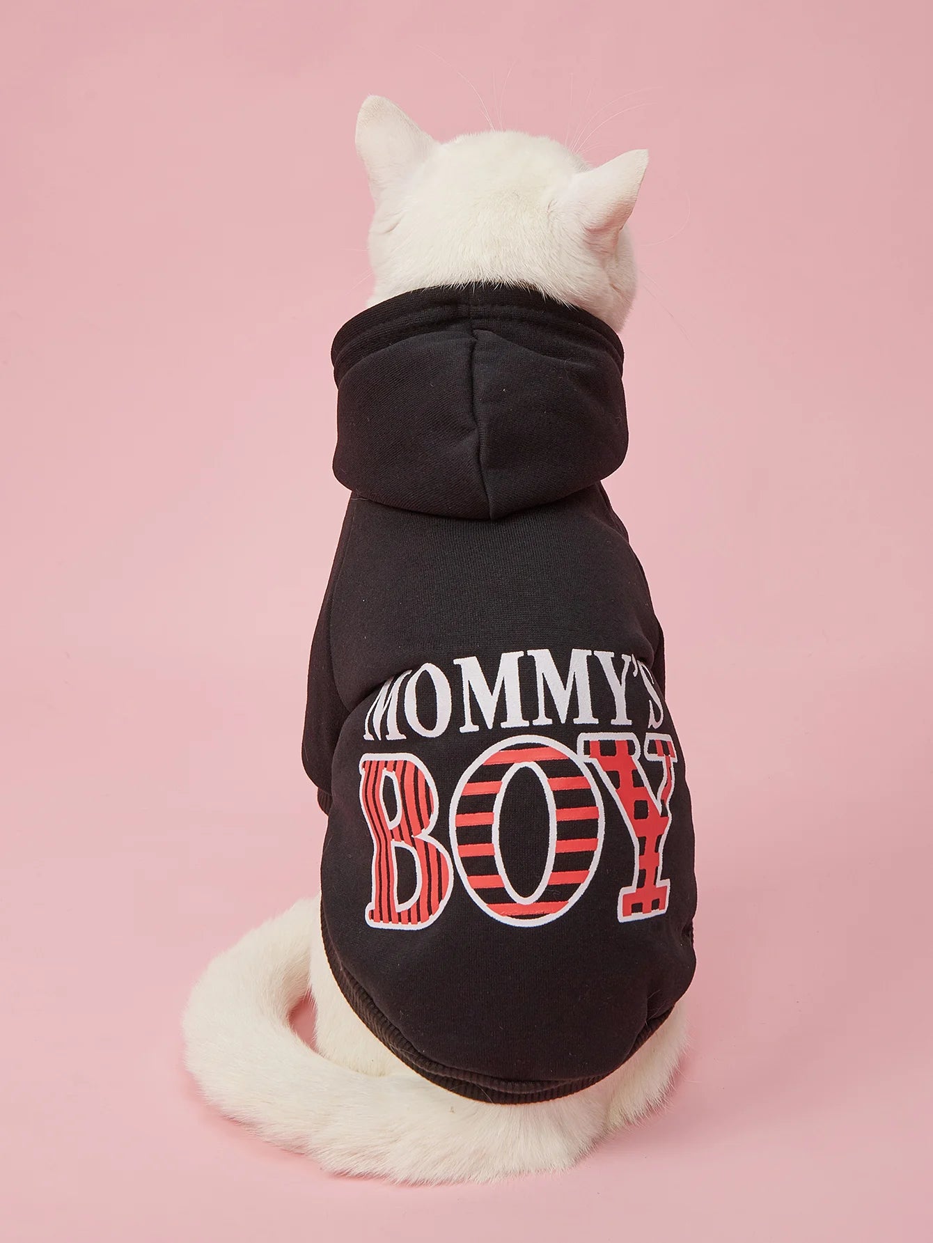 MOMMY'S BOY Pet Sweatshirt for Small - Medium Dogs and  Cats