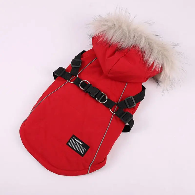 Winter Pet Dog Jacket With Harness