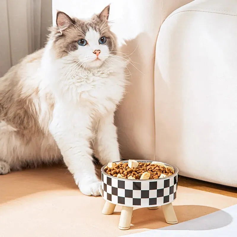 A Cat Bowl For Cats And Dogs