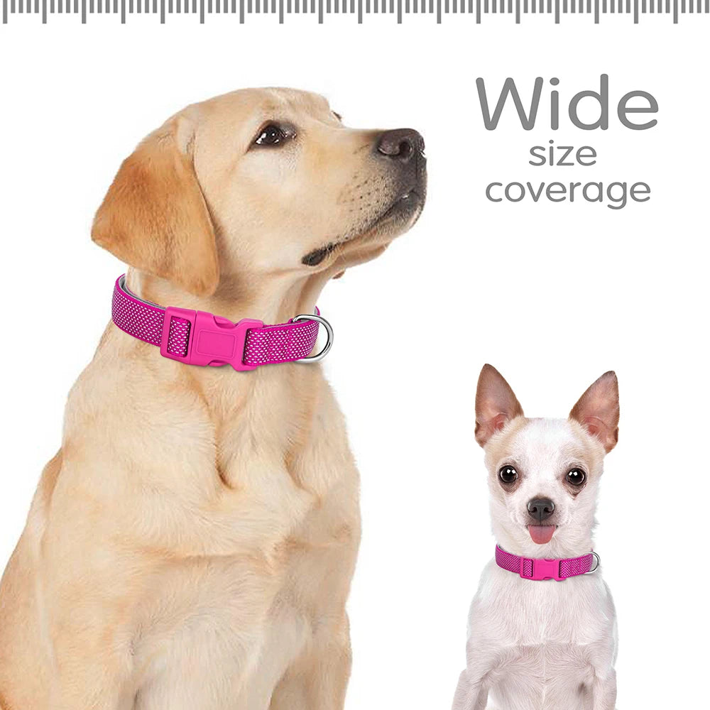 Reflective Nylon Dog Collar