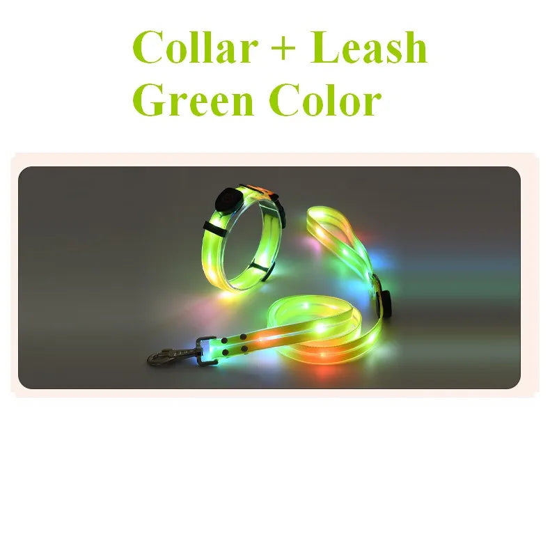 Pet Dog LED Light UP Leash USB Rechargeable