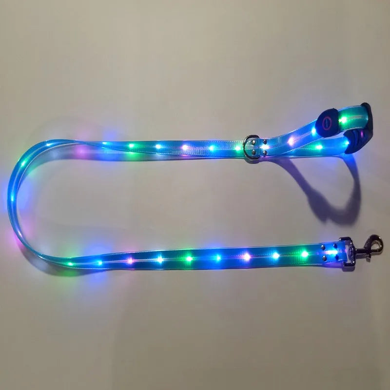 Pet Dog LED Light UP Leash USB Rechargeable