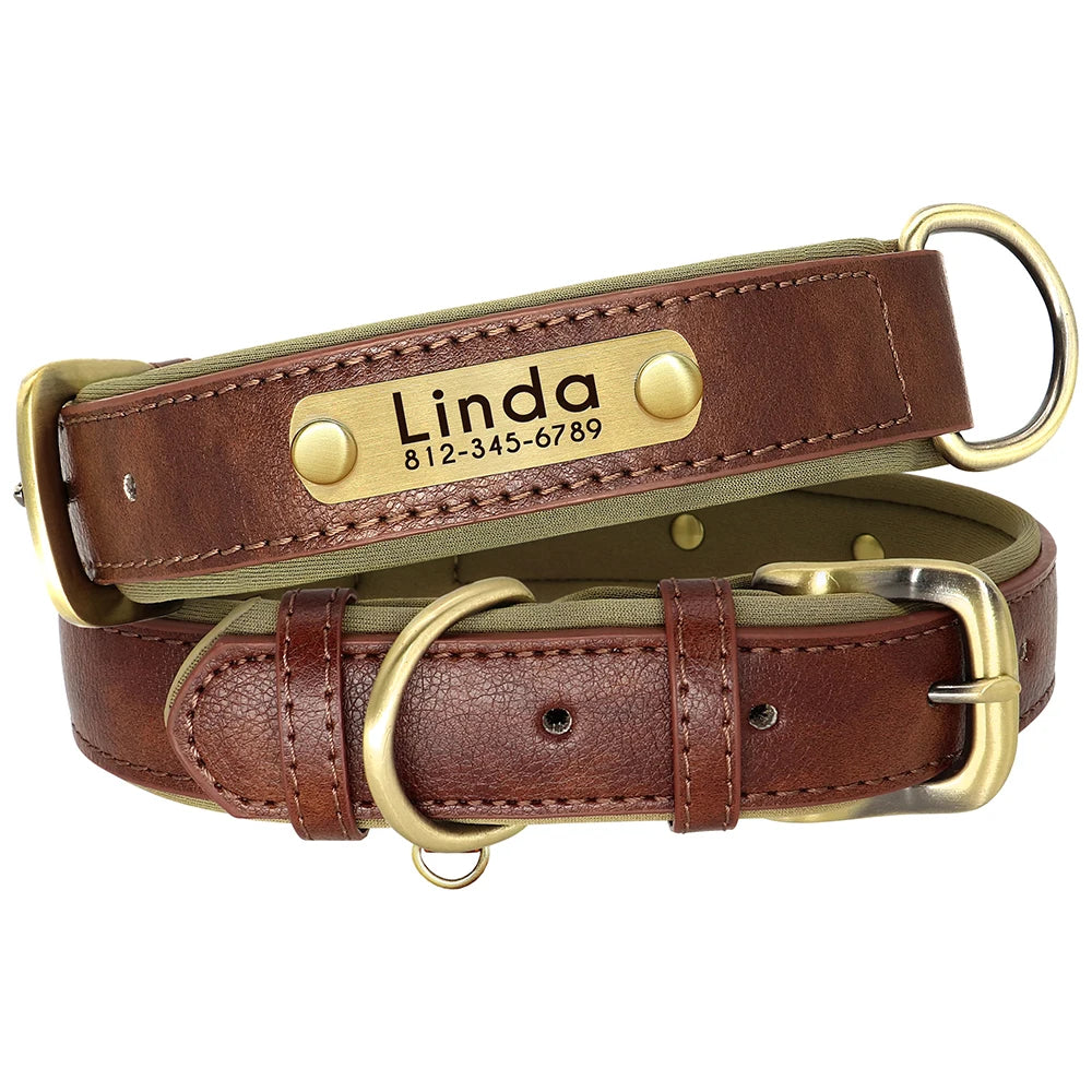 Custom Leather Dog Collar