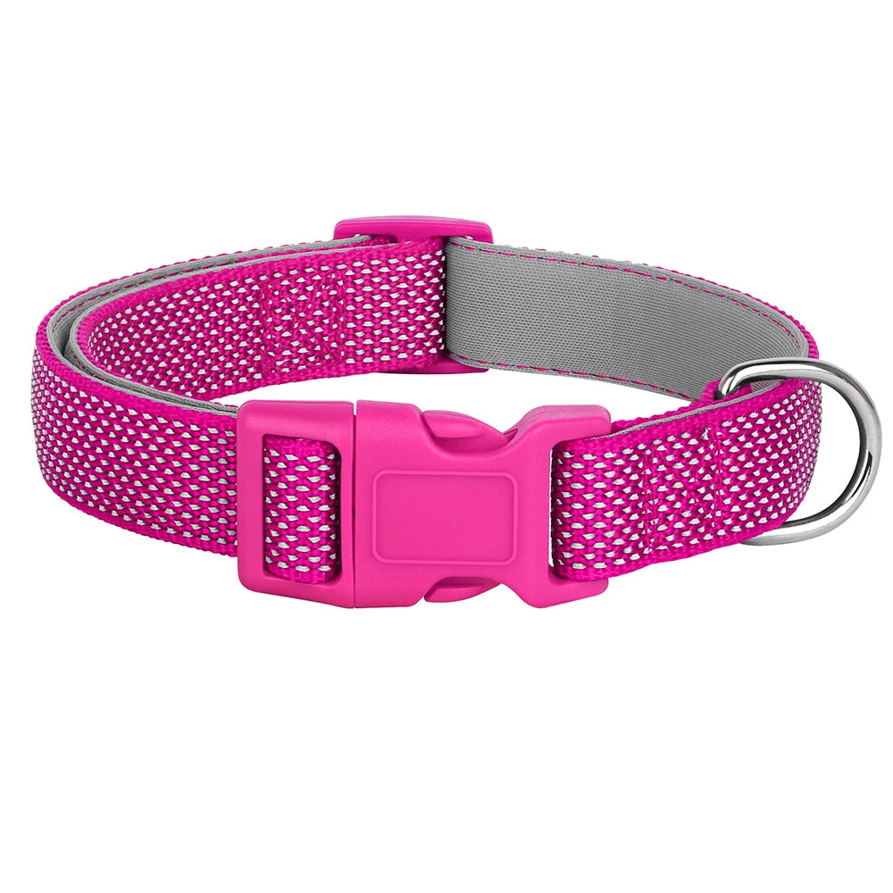 Reflective Nylon Dog Collar