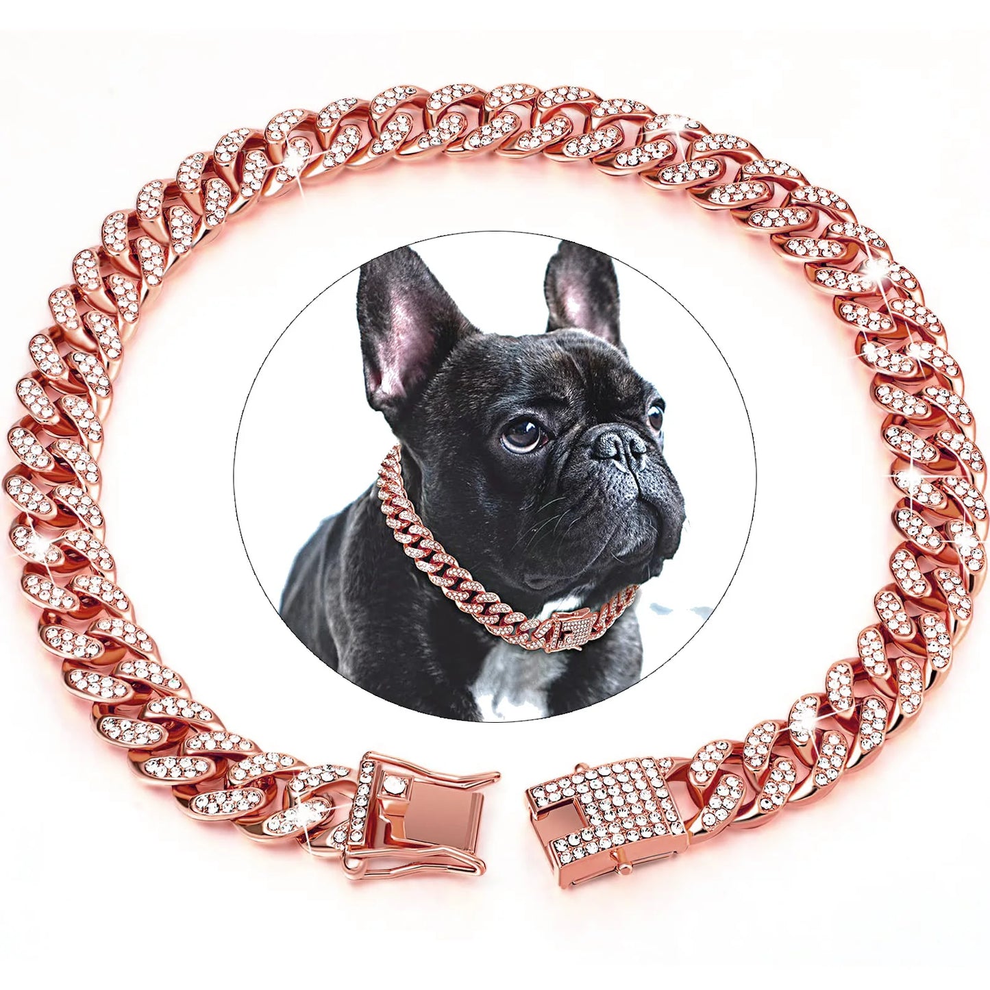 Diamond Dog Chain Collar