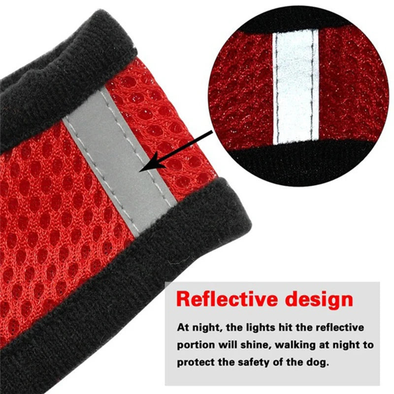 Cat Dog Harness with Lead Leash