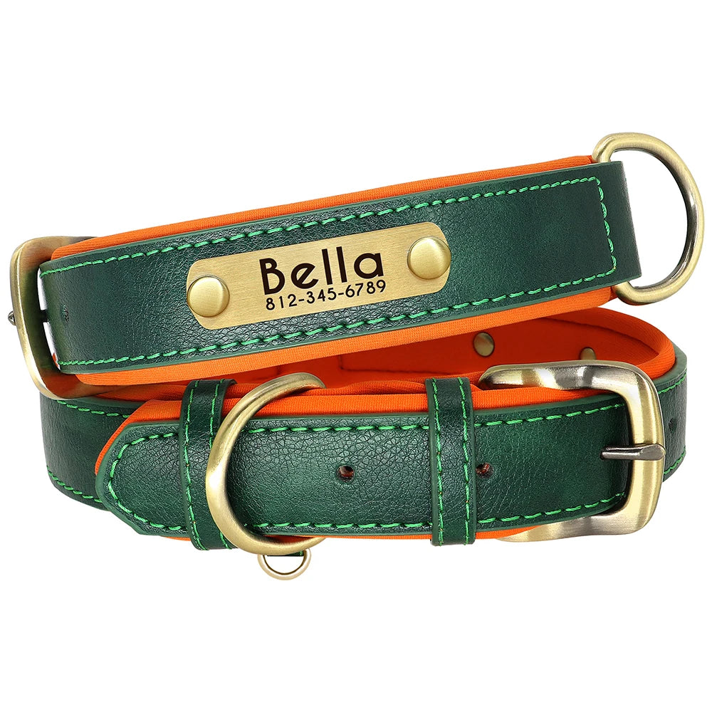 Custom Leather Dog Collar