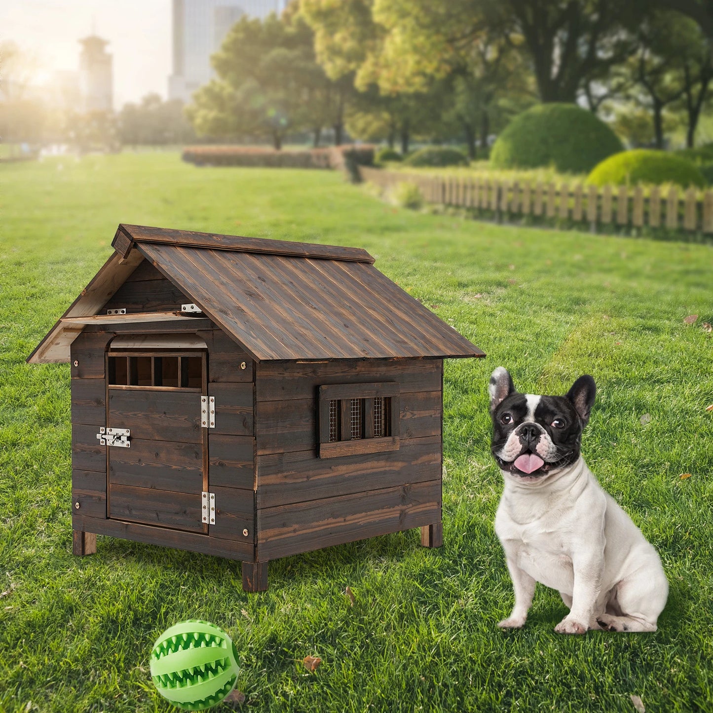 Dog House with Window and Door