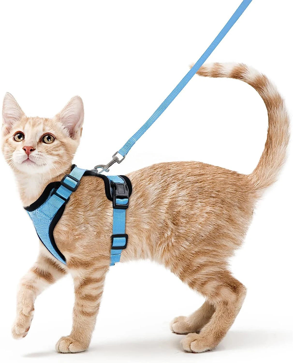 Cat Harness and Leash for Walking